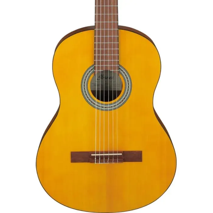 Гитара классическая Ibanez GA3-OAM (236053) изображение 4