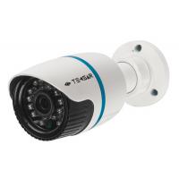Комплект видеонаблюдения Tecsar IP 2OUT LUX (7360) изображение 2