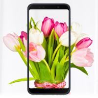 Мобильный телефон ASUS ZenFone Max Pro (M1) ZB602KL 3/32 GB Black (ZB602KL-4A144WW)