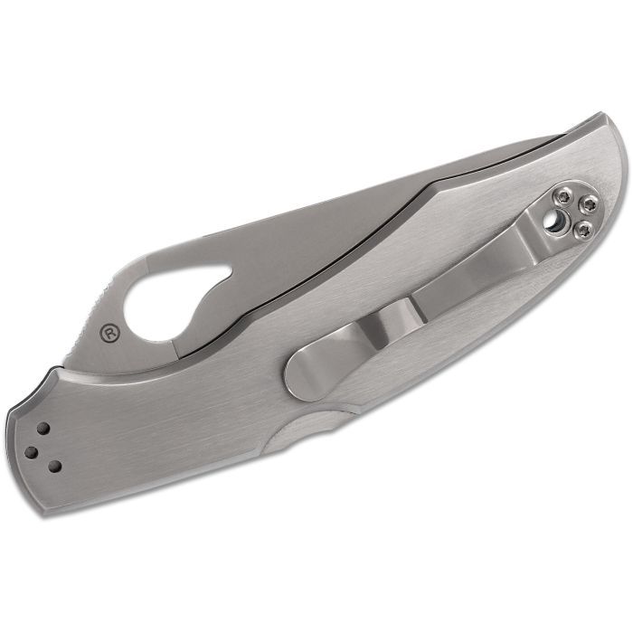 Ніж Spyderco Byrd Cara Cara 2 Steel Handle (BY03P2) зображення 4