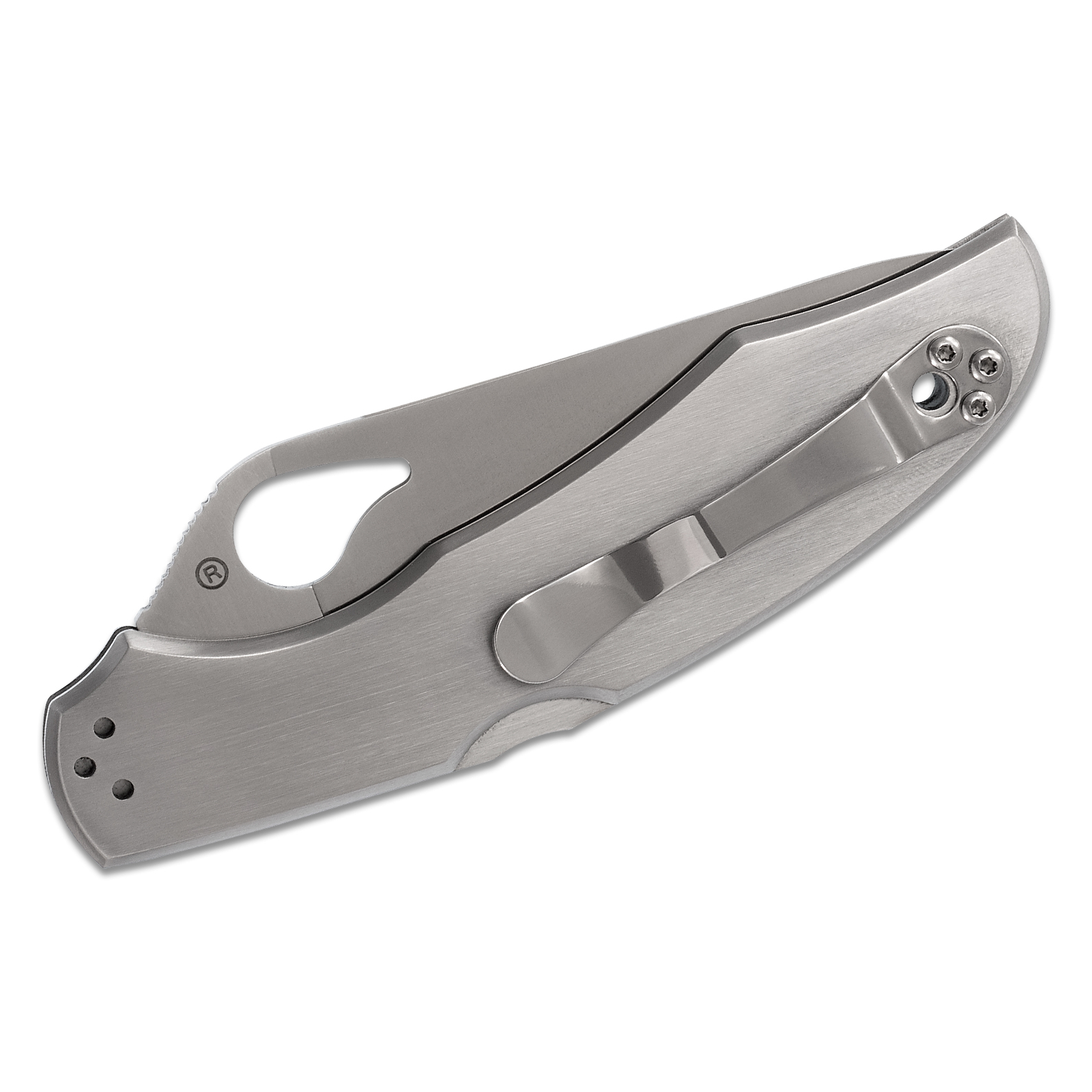 Нож Spyderco Byrd Cara Cara 2 Steel Handle (BY03P2) изображение 4