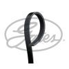 Поликлиновый ремень Gates 4PK1240