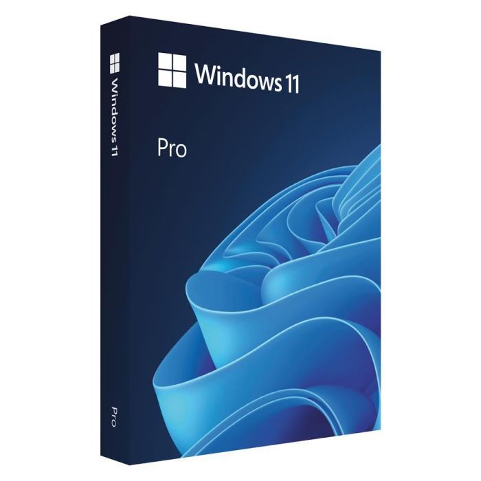 Операционная система Microsoft Windows 11 Pro укр, FPP на USB носії (HAV-00195)