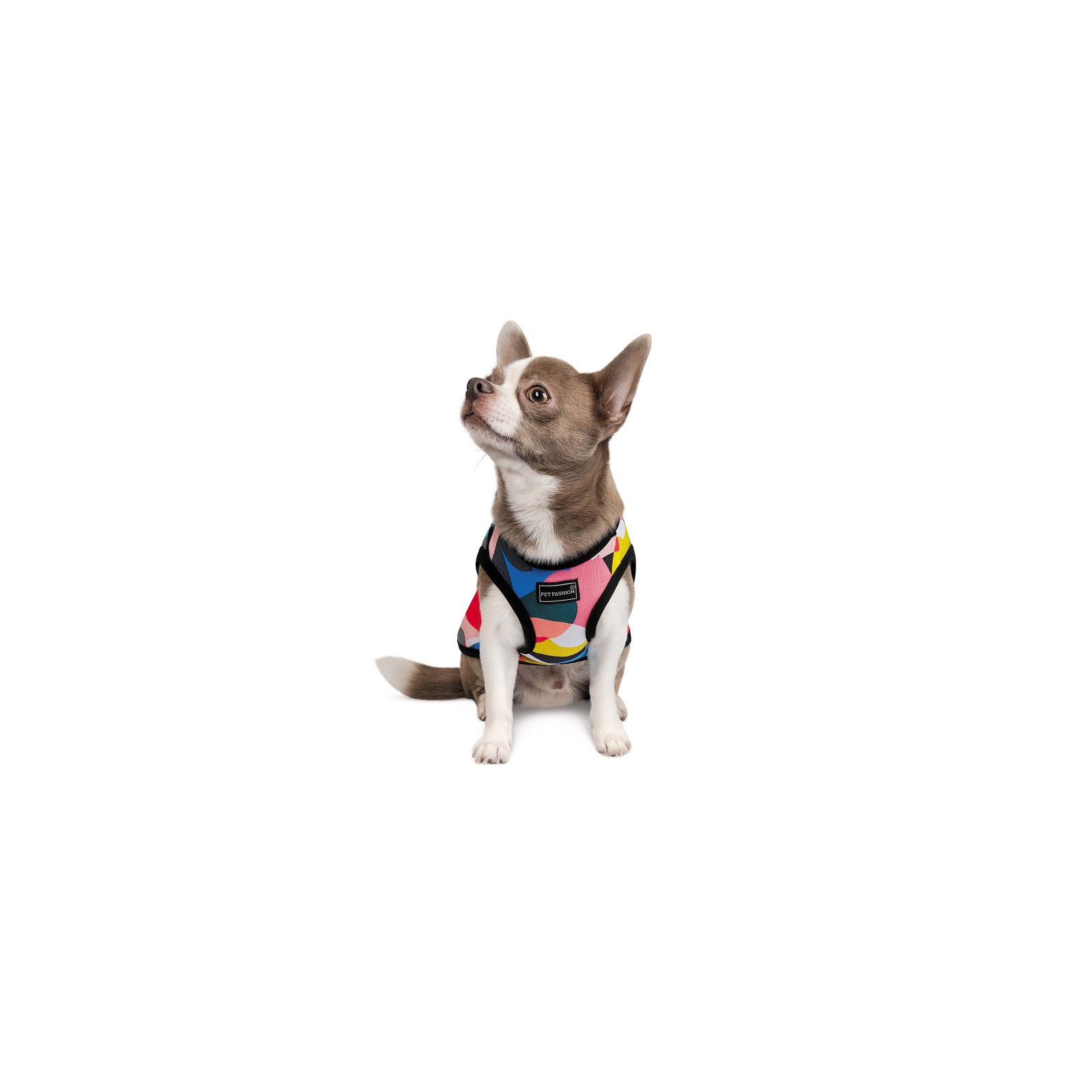 Борцовка для животных Pet Fashion Cool XS2 разноцветная (4823082420179) изображение 3