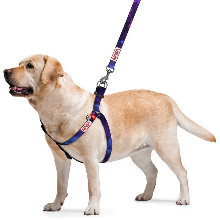 Шлея для собак WAUDOG Nylon з QR-паспортом "NASA21" L (4802-0148) зображення 2