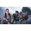 Игра Sony Horizon Forbidden West Complete Edition, BD диск (1000040790) изображение 4