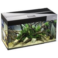 Аквариум AquaEl Glossy 80 800 мм 125 л Black (5905546143400/5905546331302)