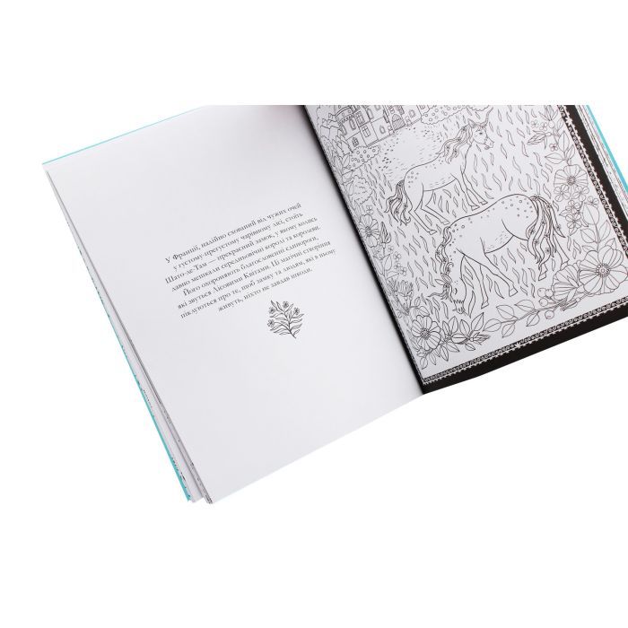 Книга Товариство "Магічний єдиноріг". Офіційна розмальовка - Селвін Фіппс #книголав (9786177820337) зображення 6