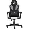 Кресло игровое 1stPlayer P01 Black-White