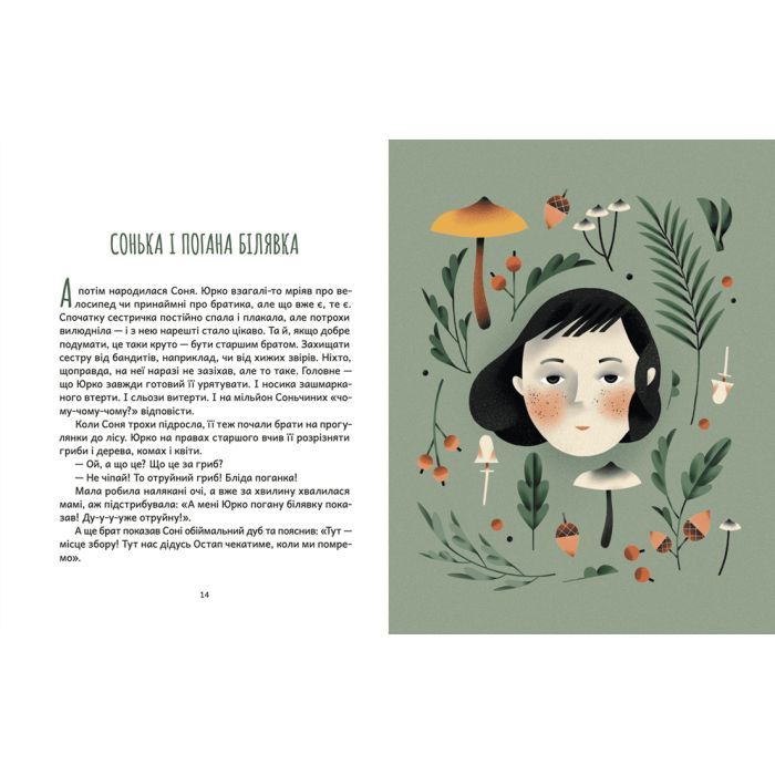 Книга Дубочок з війни - Ганна Осадко Видавництво Старого Лева (9789664482278) зображення 6