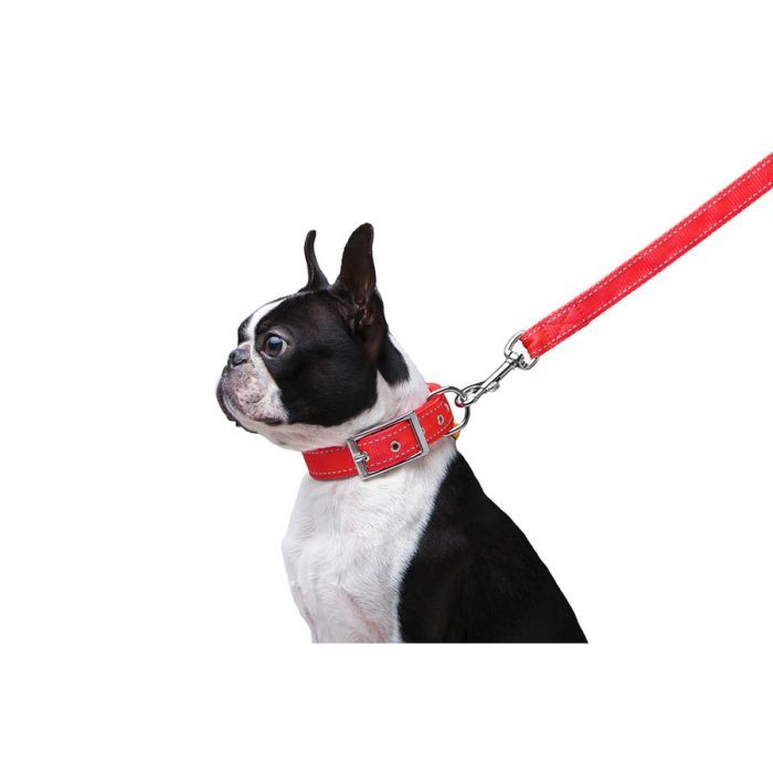 Повідець для собак Dog Extreme з нейлону подвійний Ш 20 мм Д 122 см помаранчевий (42984) зображення 4