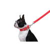 Повідок для собак Dog Extreme з нейлону подвійний Ш 20 мм Д 122 см червоний (42983) зображення 4