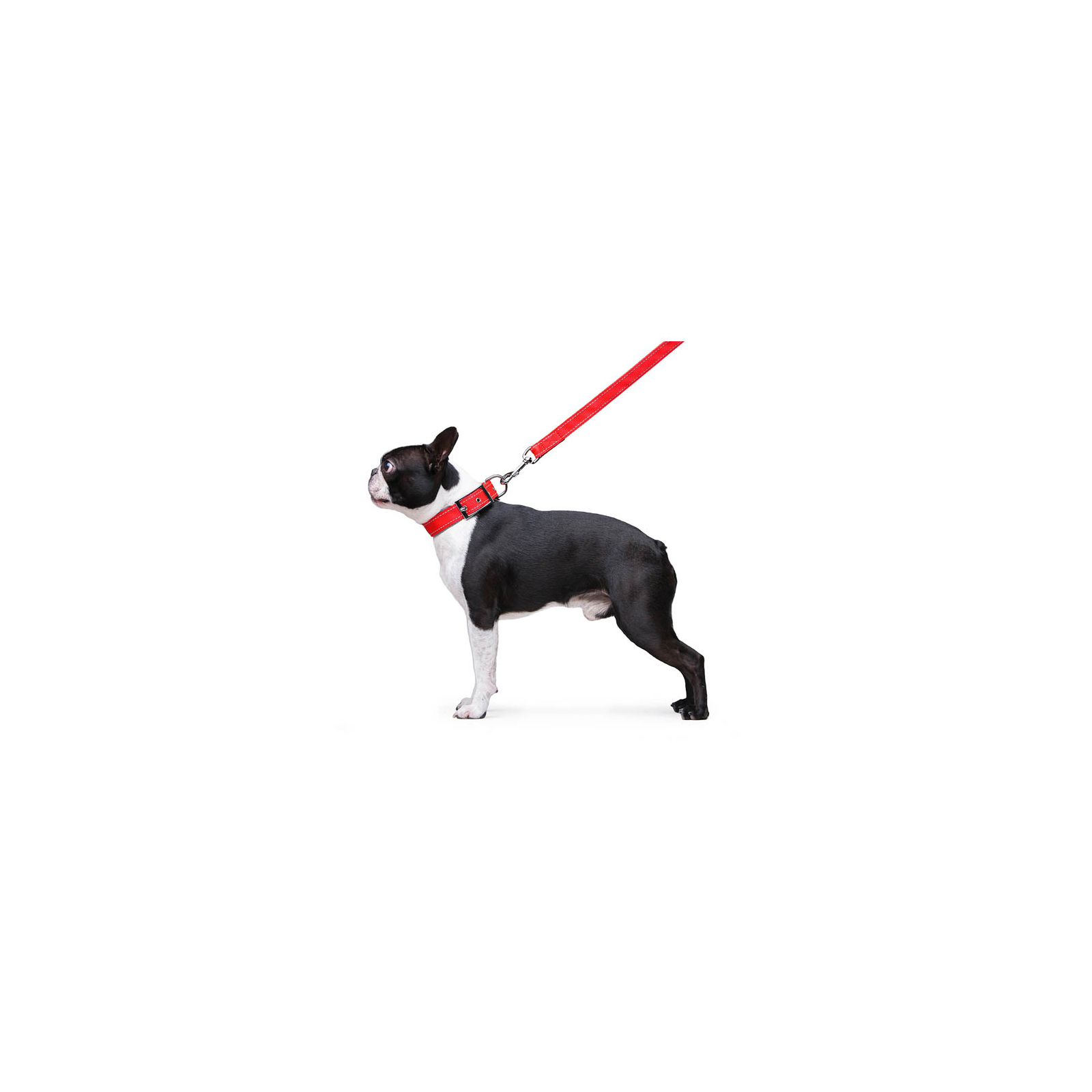 Поводок для собак Dog Extreme из нейлона двойной Ш 20 мм Д 122 см черный (42981) изображение 5