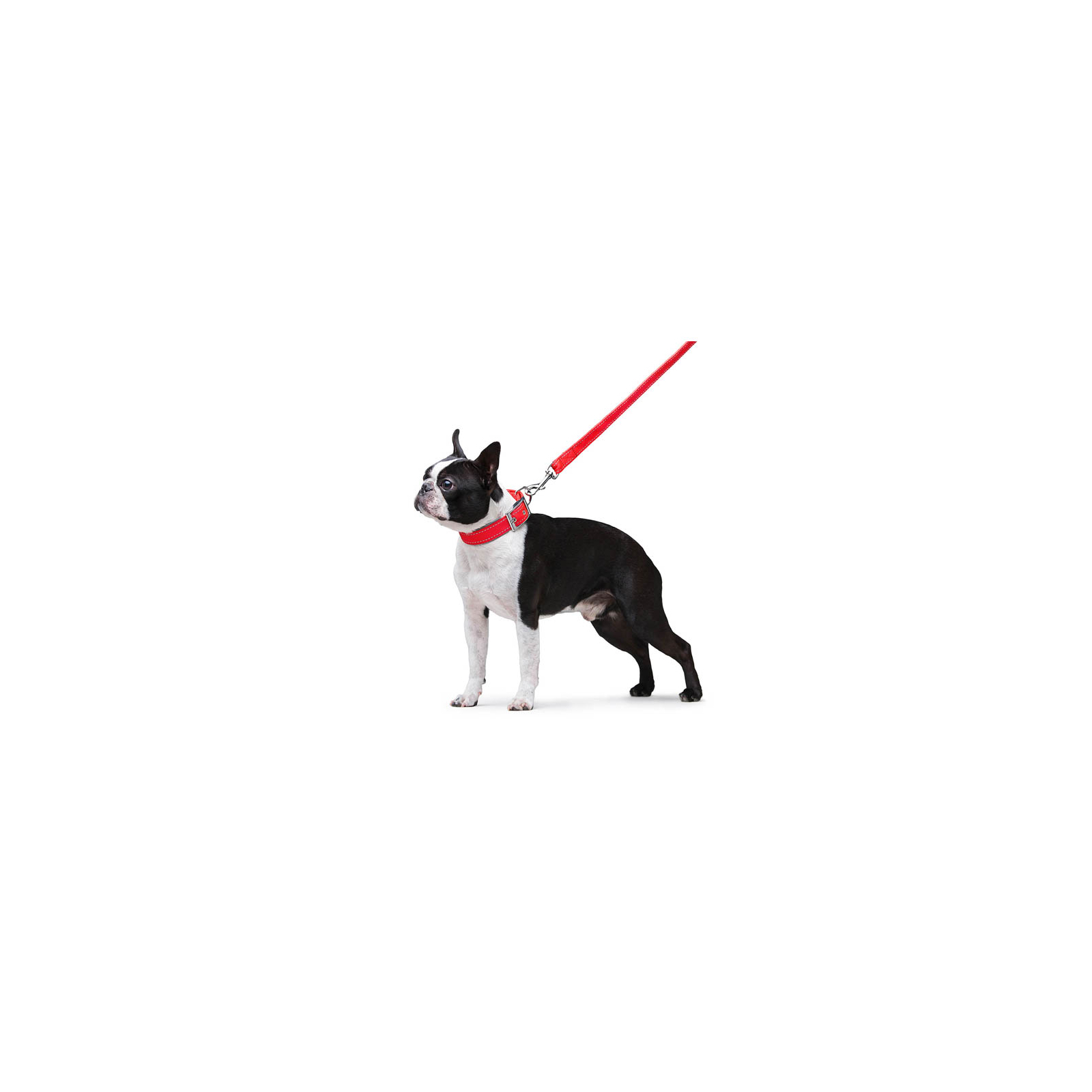 Поводок для собак Dog Extreme из нейлона двойной Ш 20 мм Д 122 см черный (42981) изображение 6