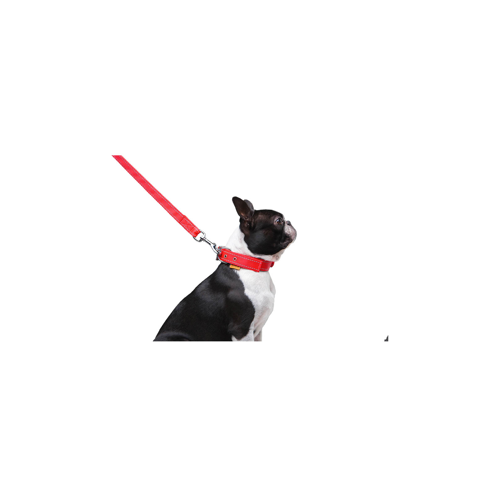 Повідок для собак Dog Extreme з нейлону подвійний Ш 20 мм Д 122 см чорний (42981) зображення 7