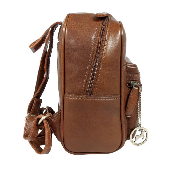 Рюкзак туристичний Ashwood T87 Chestnut зображення 3