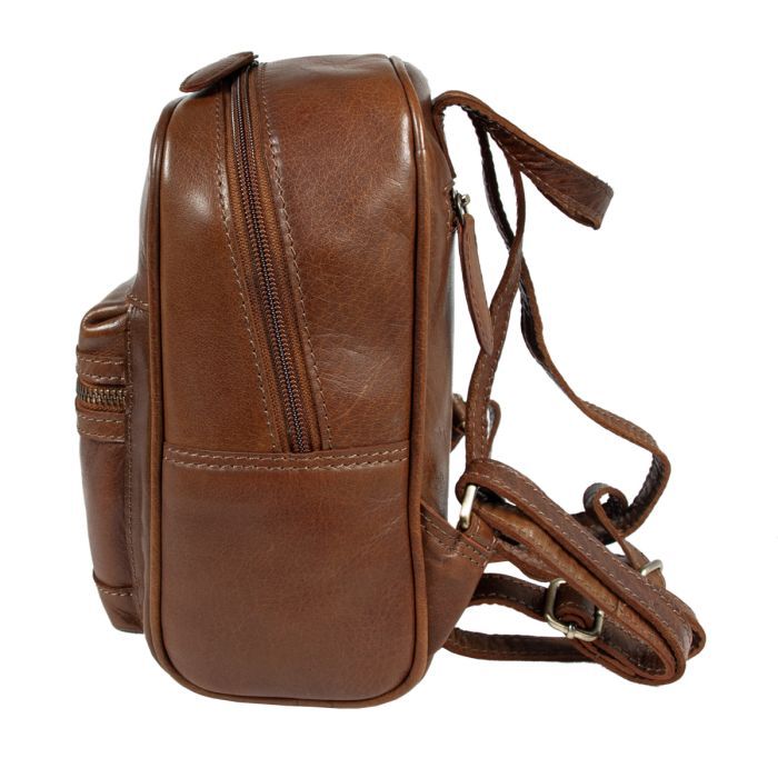 Рюкзак туристичний Ashwood T87 Chestnut зображення 5