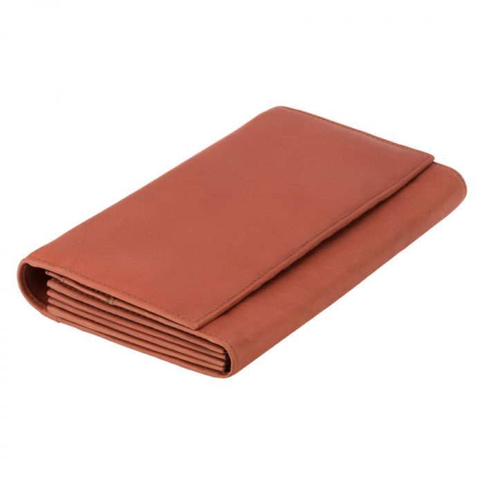 Портмоне Visconti Дорожное 1179 Polo Brown (1179 BRN) изображение 3