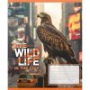 Тетрадь Yes The wild in the city А5 48 листов линия (767769) изображение 3