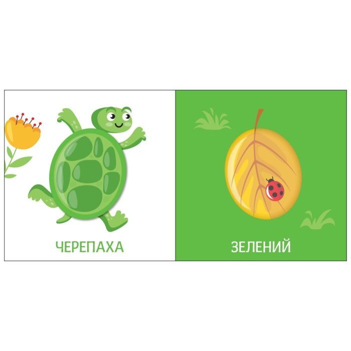 Книга Яскравий світ. Кольори Ранок (9789667511456) изображение 4