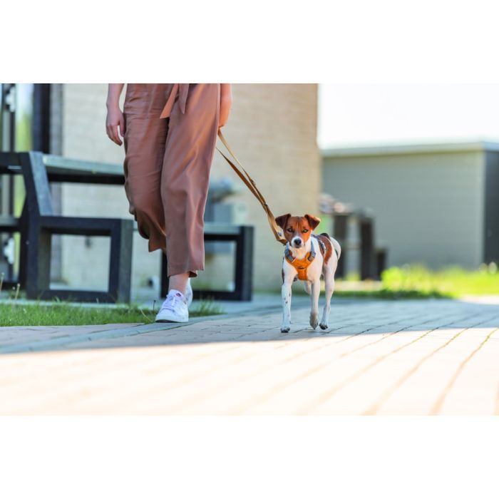 Повідець для собак Trixie Premium регульований L-XL 2 м 25 мм світло-рожевий (4053032671911) зображення 3