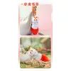 Брелок 10/10 Toys сюрприз Fabulous beasts (QWYS401) зображення 6