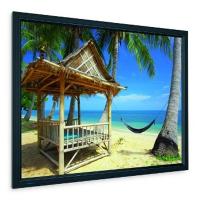 Проекционный экран HomeScreen Deluxe 151x256см Projecta (10600124)