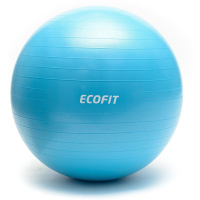 Фото - Мяч для фитнеса / фитбол HouseFit М'яч для фітнесу Ecofit MD1225 65см/1100 гр  К00015205 (К00015205)