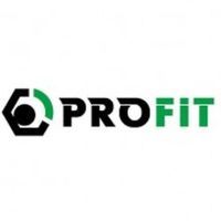 Повітряний фільтр для автомобіля Profit 1512-4265