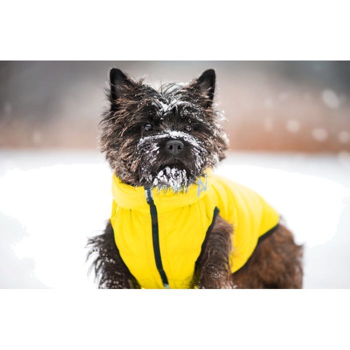 Курточка для животных Collar AiryVest "Colors of freedom" XS 30 (4441-4020) изображение 2