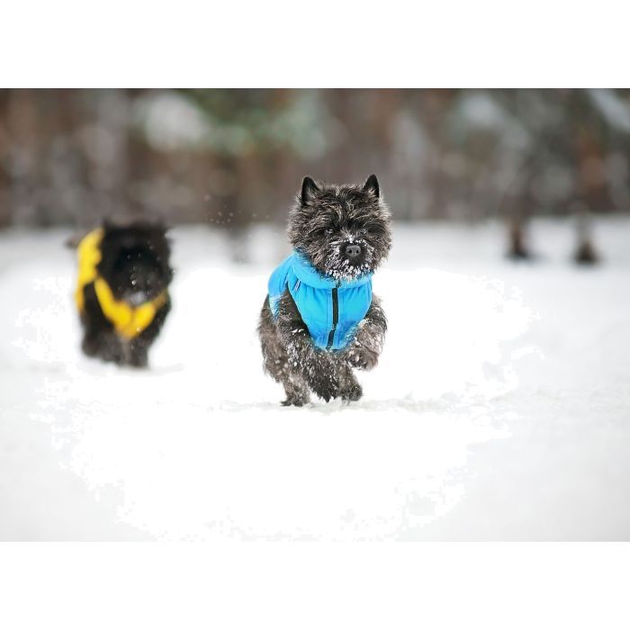 Курточка для животных Collar AiryVest "Colors of freedom" XS 30 (4441-4020) изображение 7
