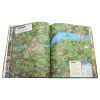 Книга Слонотур Жорж (9786177579716) изображение 8