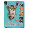 Папка для зошитів Cool For School В5 CFS на гумках (CF32006-09)