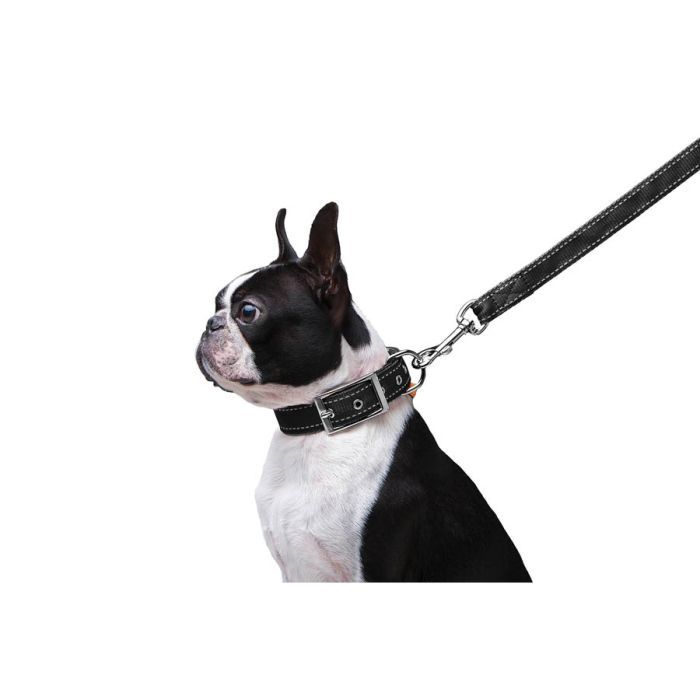 Повідець для собак Dog Extreme з нейлону подвійний Ш 20 мм Д 122 см помаранчевий (42984) зображення 4