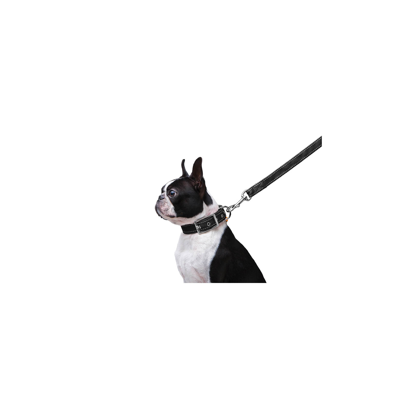 Поводок для собак Dog Extreme из нейлона двойной Ш 20 мм Д 122 см красный (42983) изображение 4