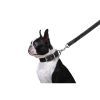 Повідець для собак Dog Extreme з нейлону подвійний Ш 20 мм Д 122 см чорний (42981) зображення 4