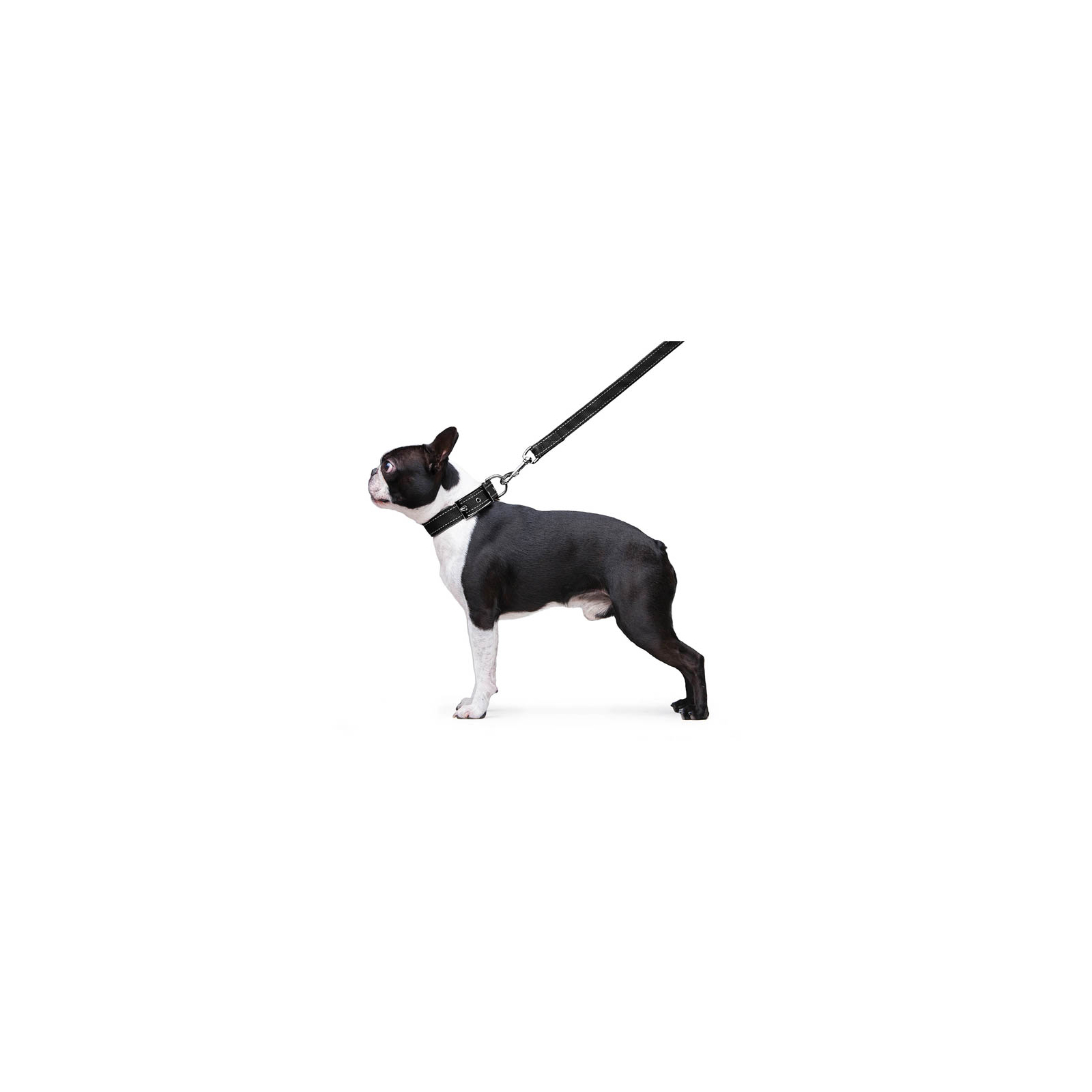 Повідок для собак Dog Extreme з нейлону подвійний Ш 20 мм Д 122 см помаранчевий (42984) зображення 5