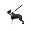 Повідок для собак Dog Extreme з нейлону подвійний Ш 20 мм Д 122 см чорний (42981) зображення 5