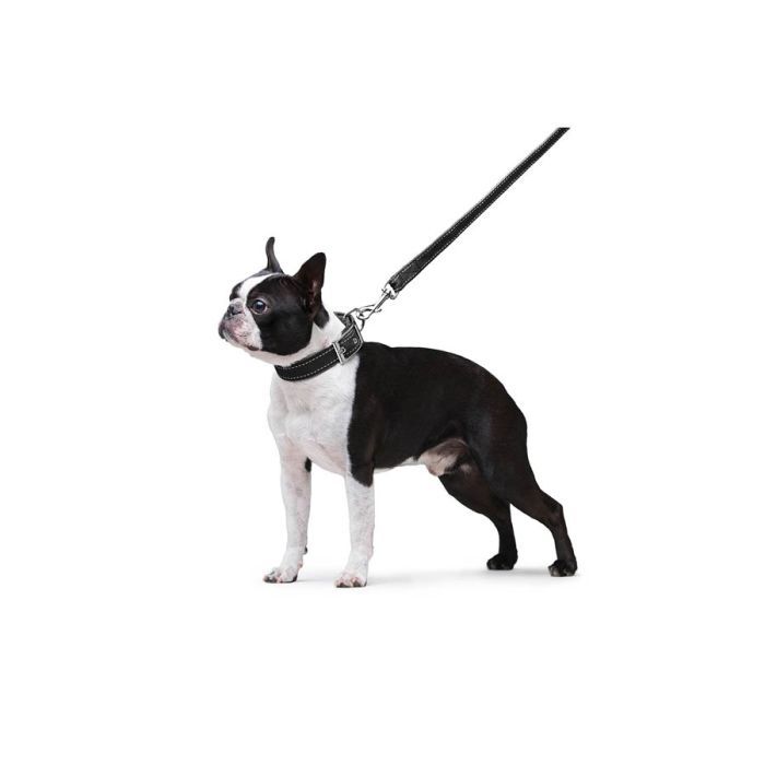 Повідець для собак Dog Extreme з нейлону подвійний Ш 20 мм Д 122 см помаранчевий (42984) зображення 6
