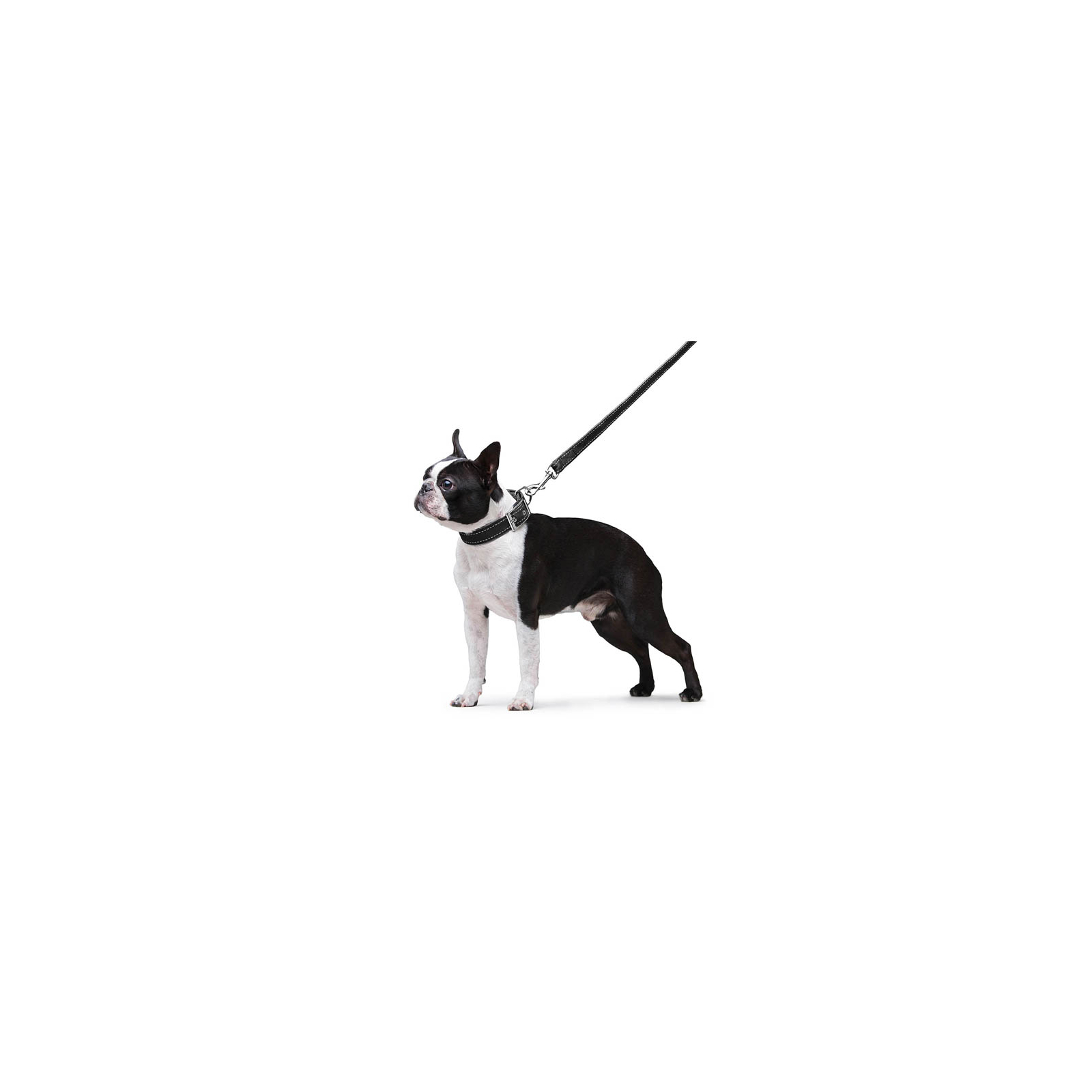 Поводок для собак Dog Extreme из нейлона двойной Ш 20 мм Д 122 см черный (42981) изображение 6