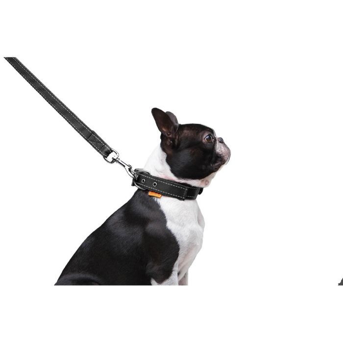 Повідець для собак Dog Extreme з нейлону подвійний Ш 20 мм Д 122 см помаранчевий (42984) зображення 7