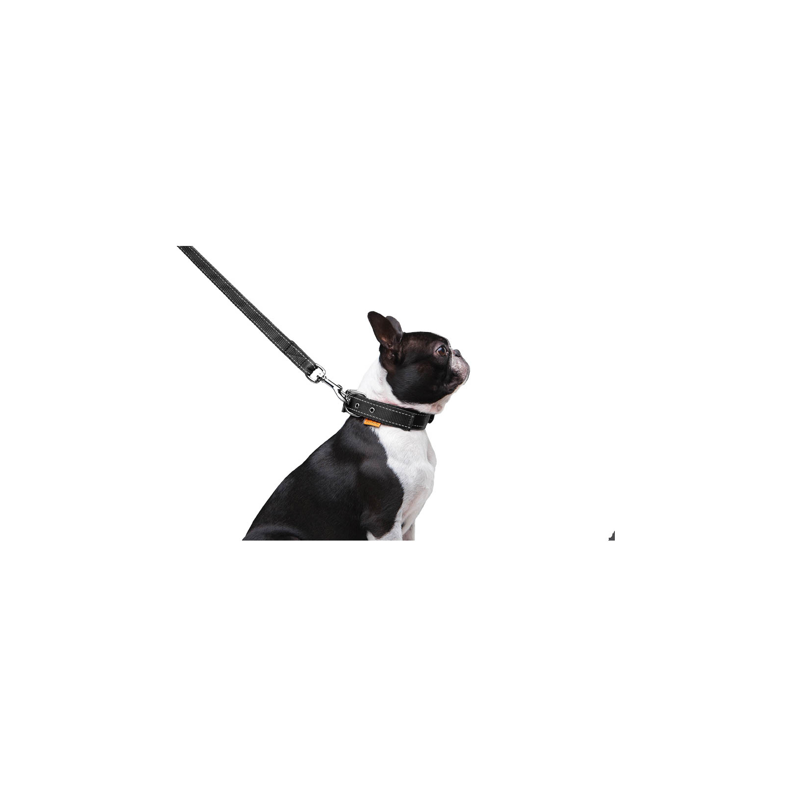 Повідок для собак Dog Extreme з нейлону подвійний Ш 20 мм Д 122 см червоний (42983) зображення 7