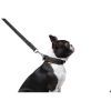Повідець для собак Dog Extreme з нейлону подвійний Ш 20 мм Д 122 см чорний (42981) зображення 7