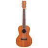 Укулеле Cordoba 15CM изображение 3