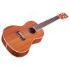 Укулеле Cordoba 15CM изображение 4