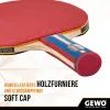 Ракетка для настільного тенісу Gewo Standard Pro FL (600300001) (931331) зображення 2