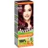 Фарба для волосся Acme Color Avena Naturals Стійка 6.55 - Cherry Chocolate (4823115503251)