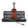 Скрипка Stentor Conservatoire II Violin Outfit 4/4 (1560A) изображение 4