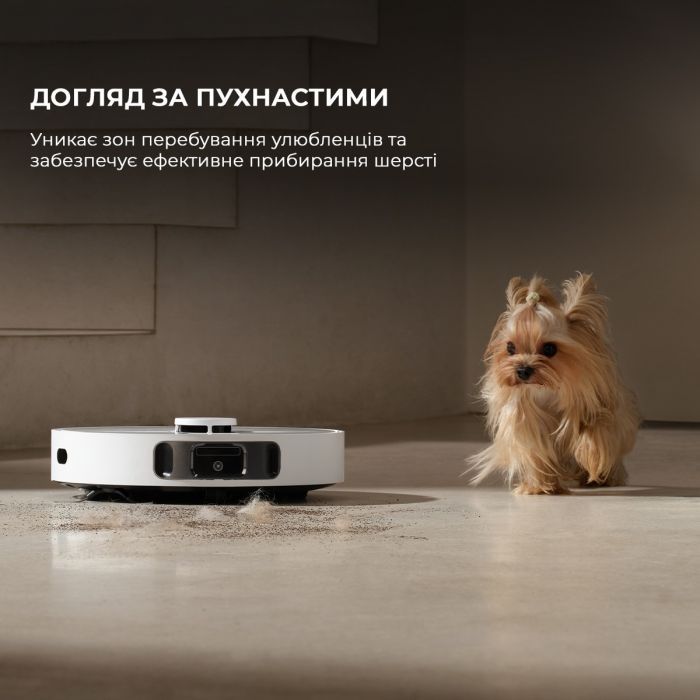 Пылесос Dreame Bot D20 Ultra (RLD31SE) изображение 10