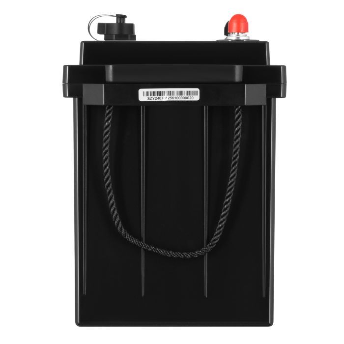 Батарея LiFePo4 2E 24V-100Ah, ABC 8S (2E-LFP24100-ABC) изображение 4